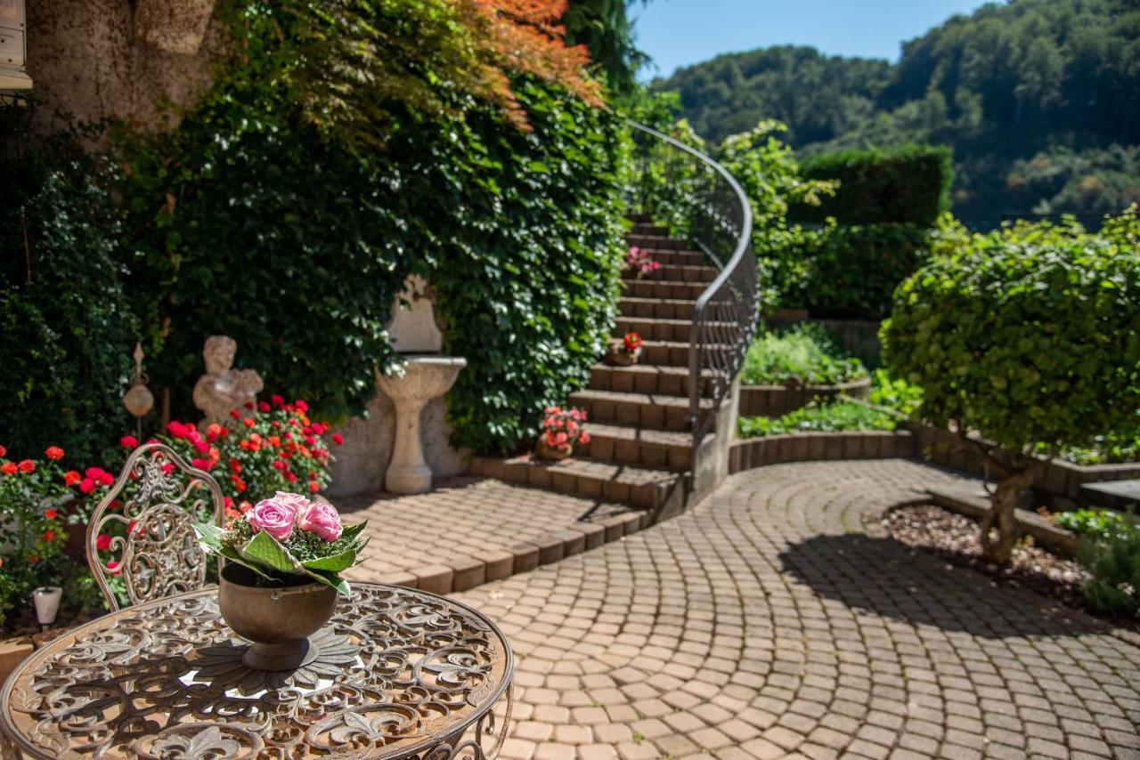 Apartmaji Urska Laško Exterior foto